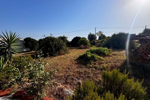 Helårsgrund i Tomar, Santarem, Tomar - € 45.000 | Ref: TL052 - foto 24