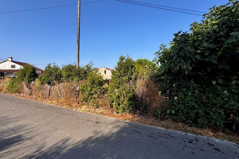Helårsgrund i Tomar, Santarem, Tomar - € 45.000 | Ref: TL052 - foto 25