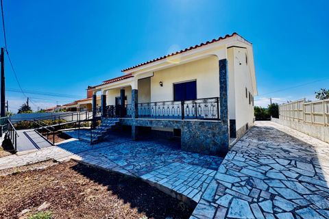 Villa i Tomar, Santarem, Tomar - € 430.000 | Ref: TL053 - foto 39