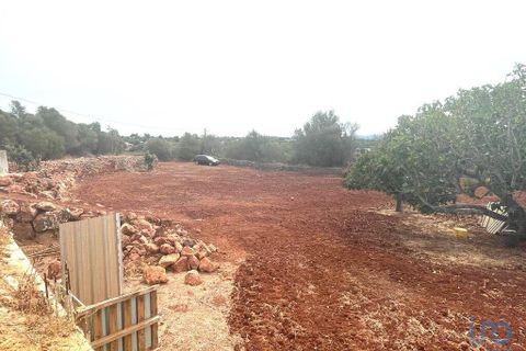 Byhus i Silves, Faro, Silves - € 530.000 | Ref: 147782 - foto 12