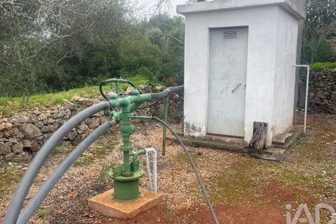 Byhus i Silves, Faro, Silves - € 530.000 | Ref: 147782 - foto 18