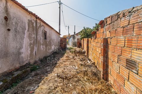 Villa a Torres Vedras, Lisbon, Torres Vedras - € 198.000 | Ref: V25243 X40 - foto 4