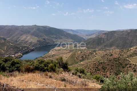 Villa i Loures, Lisbon, Loures - € 20.000 | Ref: ZMPT580060 - foto 47
