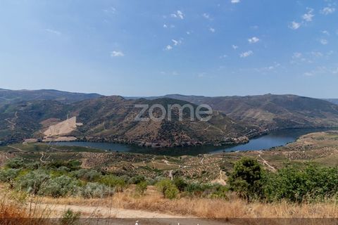 Villa i Loures, Lisbon, Loures - € 20.000 | Ref: ZMPT580060 - foto 49