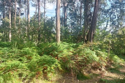 Helårsgrund i Amares, Braga, Amares - € 36.150 | Ref: 212053 - foto 2