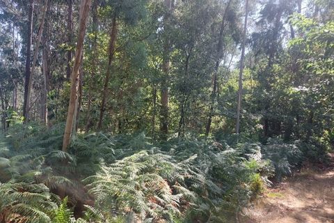 Helårsgrund i Amares, Braga, Amares - € 36.150 | Ref: 212053 - foto 3