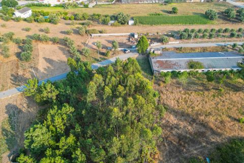 Helårsgrund i Mealhada, Aveiro, Mealhada - € 79.900 | Ref: C0372-01681 - foto 5