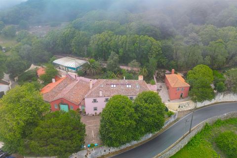 Farm i Sintra, Lisbon, Sintra - € 5.500.000 | Ref: TRI-199-25-CS - foto 2