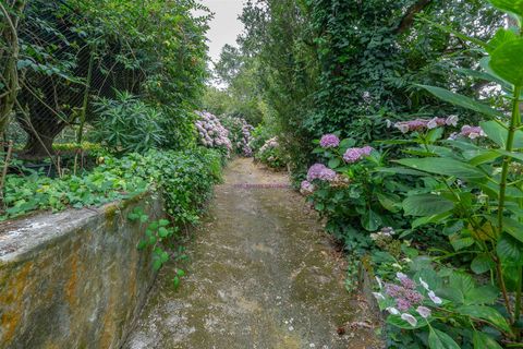 Farm i Sintra, Lisbon, Sintra - € 5.500.000 | Ref: TRI-199-25-CS - foto 5