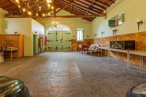 Farm i Sintra, Lisbon, Sintra - € 5.500.000 | Ref: TRI-199-25-CS - foto 21