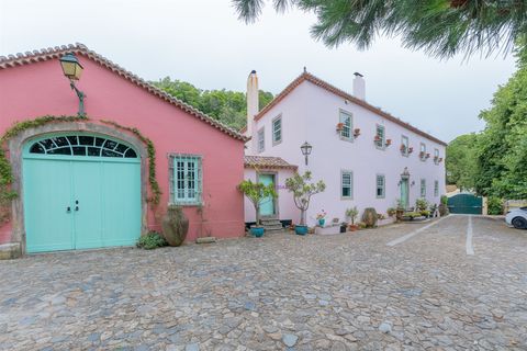 Farm i Sintra, Lisbon, Sintra - € 5.500.000 | Ref: TRI-199-25-CS - foto 22