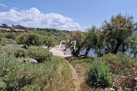 Villa i Corbara, Haute-Corse, Corbara - € 3.240.000 | Ref: CORM000999IR - foto 16