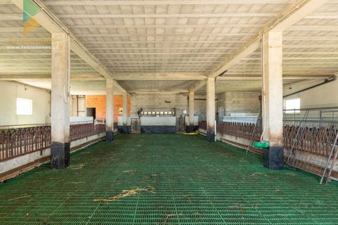 Villa a Longroiva, Guarda, Longroiva - € 610.000 | Ref: PTL-001-118 - foto 13
