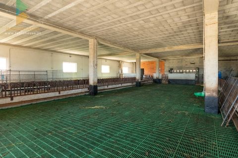 Villa a Longroiva, Guarda, Longroiva - € 610.000 | Ref: PTL-001-118 - foto 14