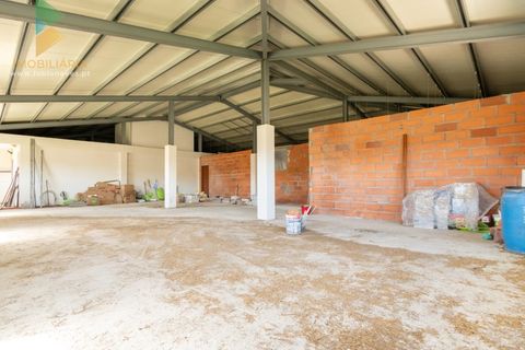 Villa a Longroiva, Guarda, Longroiva - € 610.000 | Ref: PTL-001-118 - foto 29