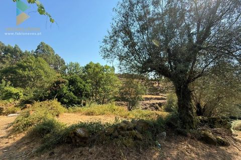 Villa i Arcos de Valdevez, Viana do Castelo, Arcos de Valdevez - € 33.500 | Ref: AVV-021-030 - foto 12