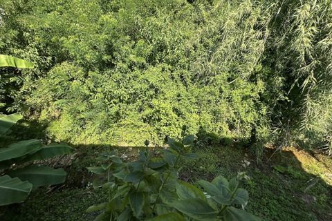 Byhus i Ameglia, La Spezia, Ameglia - € 230.000 | Ref: 107881 - foto 33