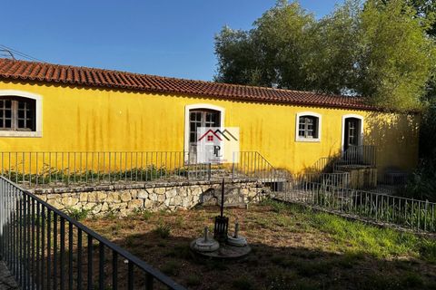 Lejlighed i Cantanhede, Coimbra, Cantanhede - € 420.000 | Ref: V942MS - foto 40