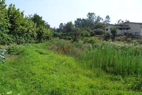 Terra a Fafe, Braga, Fafe - € 59.000 | Ref: 002-314 - foto 2