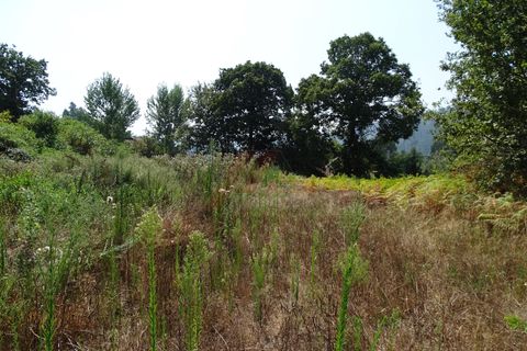 Terra a Fafe, Braga, Fafe - € 59.000 | Ref: 002-314 - foto 5