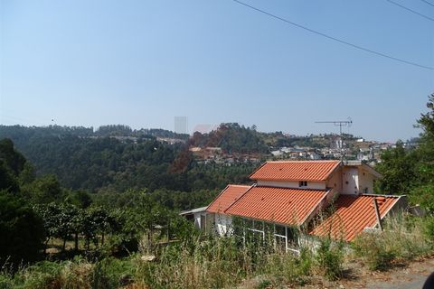 Terra a Fafe, Braga, Fafe - € 59.000 | Ref: 002-314 - foto 9