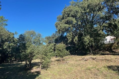 Tomt i Vidauban, Var, Vidauban - € 120 000 | Ref: 1136MX2838 - foto 2