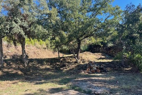 Tomt i Vidauban, Var, Vidauban - € 120 000 | Ref: 1136MX2838 - foto 5