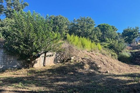 Terra a Vidauban, Var, Vidauban - € 110.000 | Ref: 1134MX2838 - foto 2