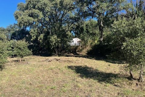 Terra a Vidauban, Var, Vidauban - € 110.000 | Ref: 1134MX2838 - foto 4