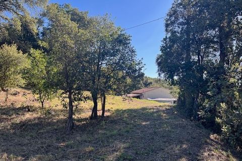 Terra a Vidauban, Var, Vidauban - € 110.000 | Ref: 1134MX2838 - foto 6
