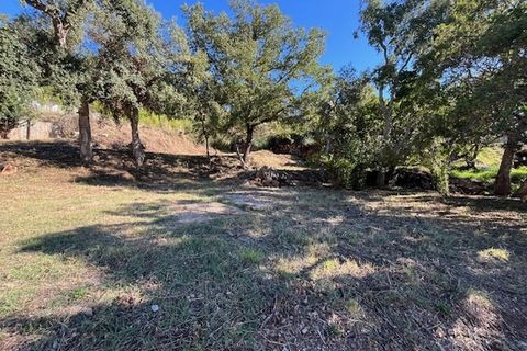 Terra a Vidauban, Var, Vidauban - € 110.000 | Ref: 1134MX2838 - foto 7