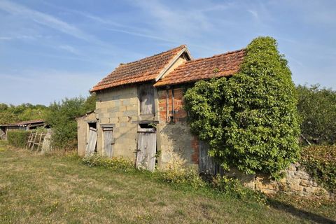 Villa i Saint-Civran, Indre, Saint-Civran - € 41.000 | Ref: 3011440841 - foto 14