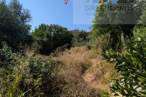 Villa i Tabua, Coimbra, Tabua - € 199.000 | Ref: 672 - foto 45