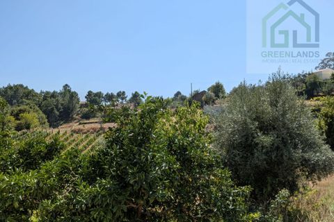 Villa i Tabua, Coimbra, Tabua - € 199.000 | Ref: 672 - foto 47