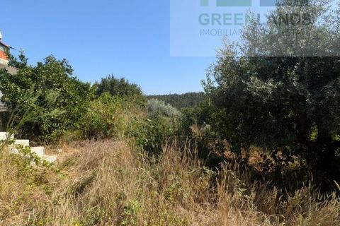 Villa i Tabua, Coimbra, Tabua - € 199.000 | Ref: 672 - foto 49