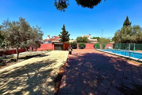 Villa i San Miguel De Salinas, Alicante - foto 2