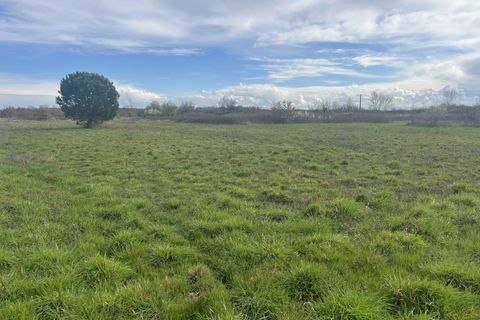 Terra a Seysses, Haute-Garonne, Seysses - € 153.000 | Ref: 286 - foto 4