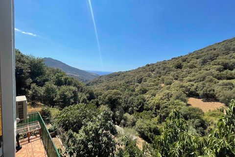 Landejendom i Propriano, Corse-du-Sud, Propriano - € 495.000 | Ref: 340930404311 - foto 4
