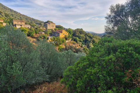 Landejendom i Propriano, Corse-du-Sud, Propriano - € 495.000 | Ref: 340930404311 - foto 5