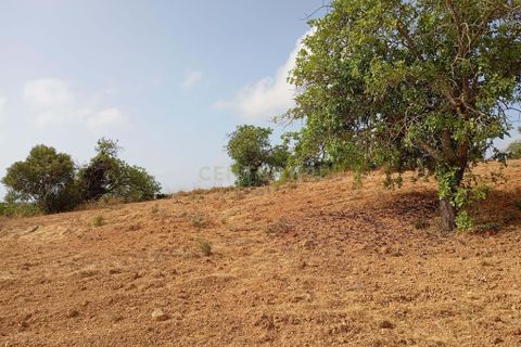 Helårsgrund i Olhao, Faro, Olhao - € 46.000 | Ref: C0358-01017 - foto 7