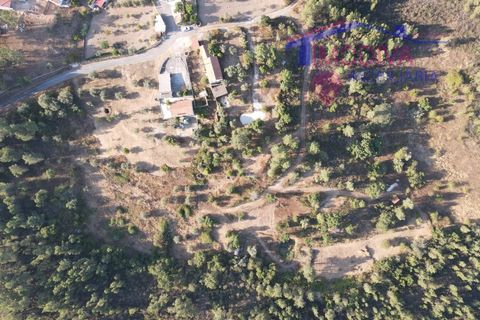 Villa a Serta, Castelo Branco, Serta - € 120.000 | Ref: VV419/0825 - foto 14