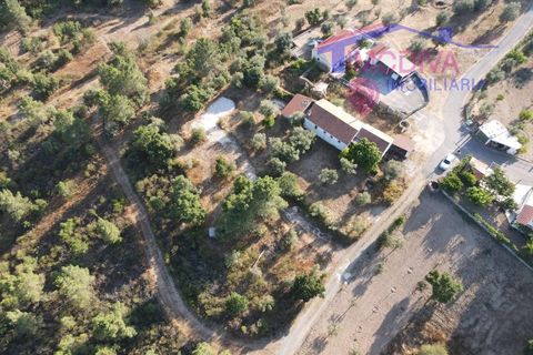 Villa a Serta, Castelo Branco, Serta - € 120.000 | Ref: VV419/0825 - foto 15
