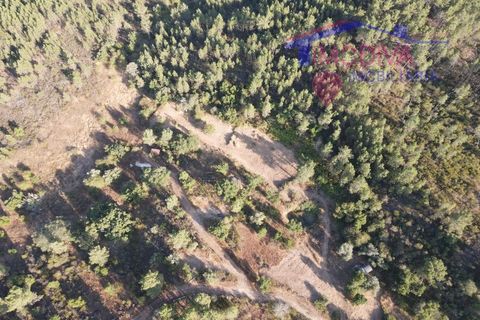 Villa a Serta, Castelo Branco, Serta - € 120.000 | Ref: VV419/0825 - foto 17