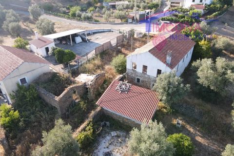 Villa a Serta, Castelo Branco, Serta - € 120.000 | Ref: VV419/0825 - foto 2