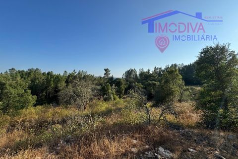 Villa a Serta, Castelo Branco, Serta - € 120.000 | Ref: VV419/0825 - foto 24