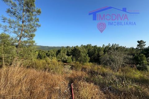 Villa a Serta, Castelo Branco, Serta - € 120.000 | Ref: VV419/0825 - foto 25