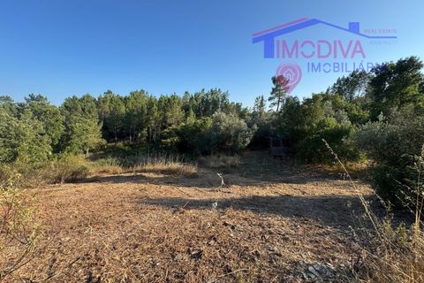 Villa a Serta, Castelo Branco, Serta - € 120.000 | Ref: VV419/0825 - foto 26