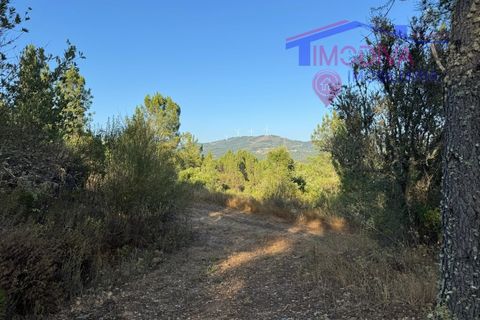 Villa a Serta, Castelo Branco, Serta - € 120.000 | Ref: VV419/0825 - foto 27
