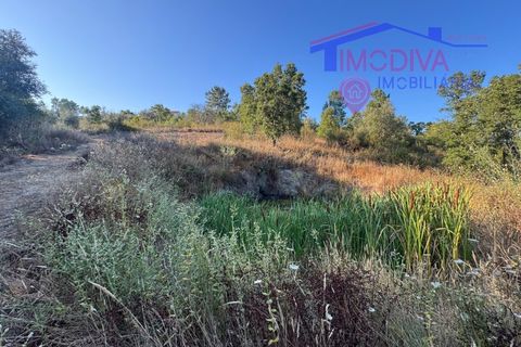 Villa a Serta, Castelo Branco, Serta - € 120.000 | Ref: VV419/0825 - foto 29