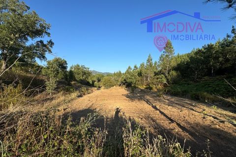 Villa a Serta, Castelo Branco, Serta - € 120.000 | Ref: VV419/0825 - foto 30